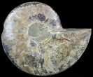 Wide Polished Ammonite Dish #49785-1